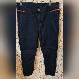 Etienne Marcel Navy Pants 31